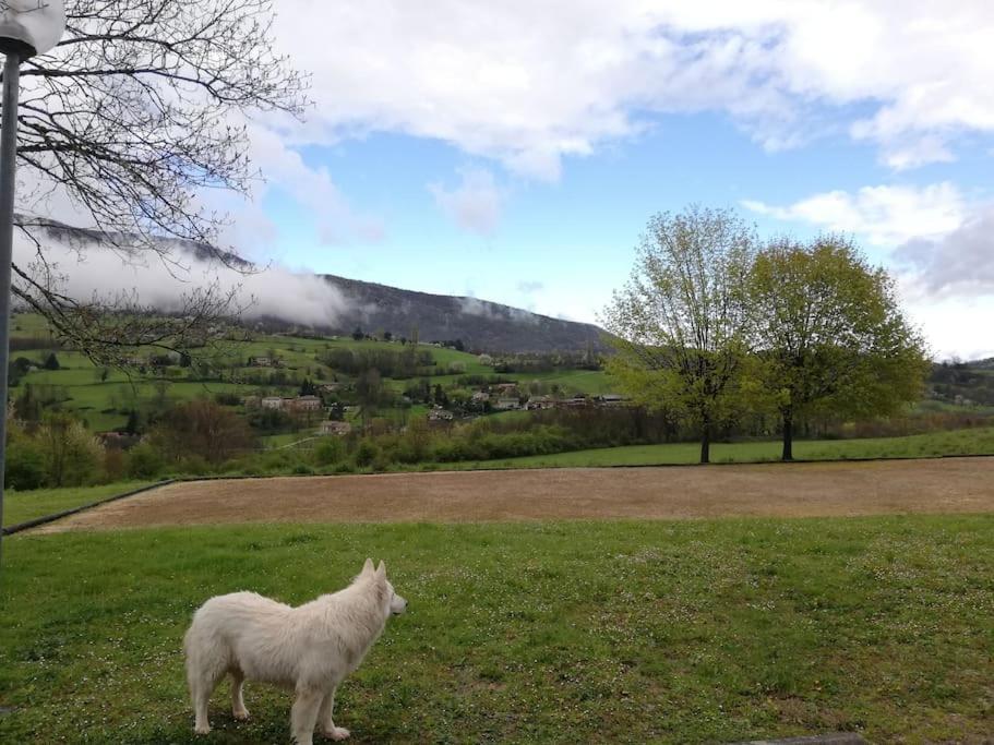 Logement Standing Wifi Vercors 'In Saint-Jean-en-Royans Esterno foto