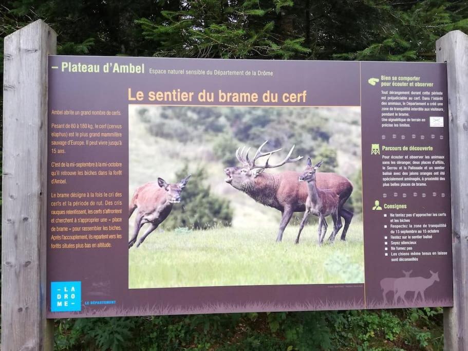 Logement Standing Wifi Vercors 'In Saint-Jean-en-Royans Esterno foto
